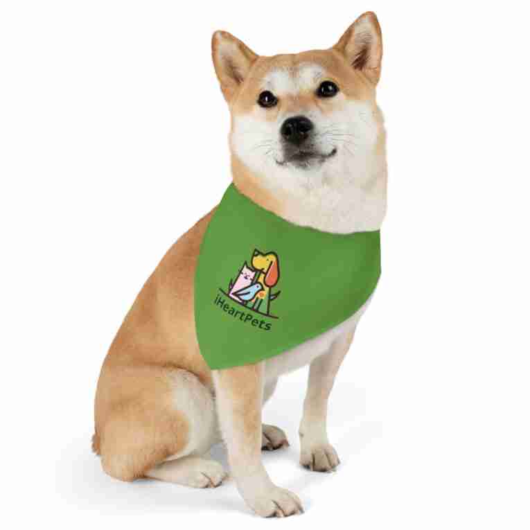 iHeartPets - Pet Bandana Collar - Image 8