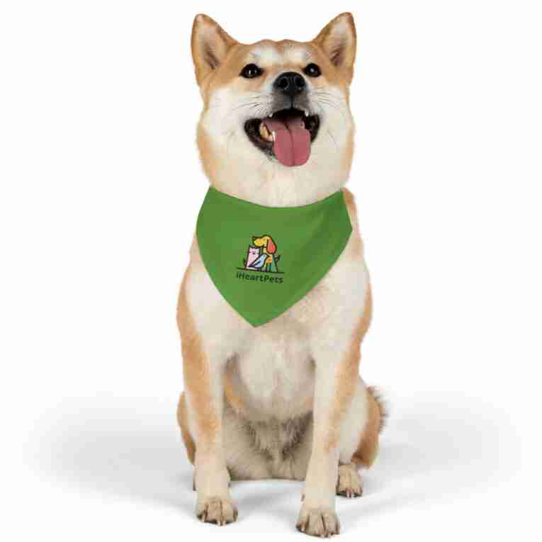 iHeartPets - Pet Bandana Collar - Image 3