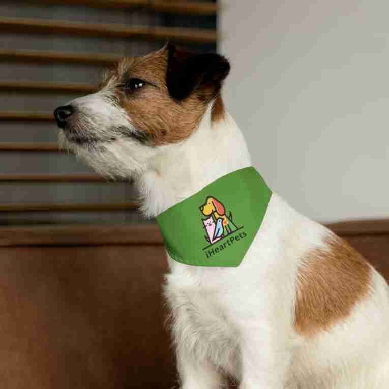 iHeartPets - Pet Bandana Collar - Image 6