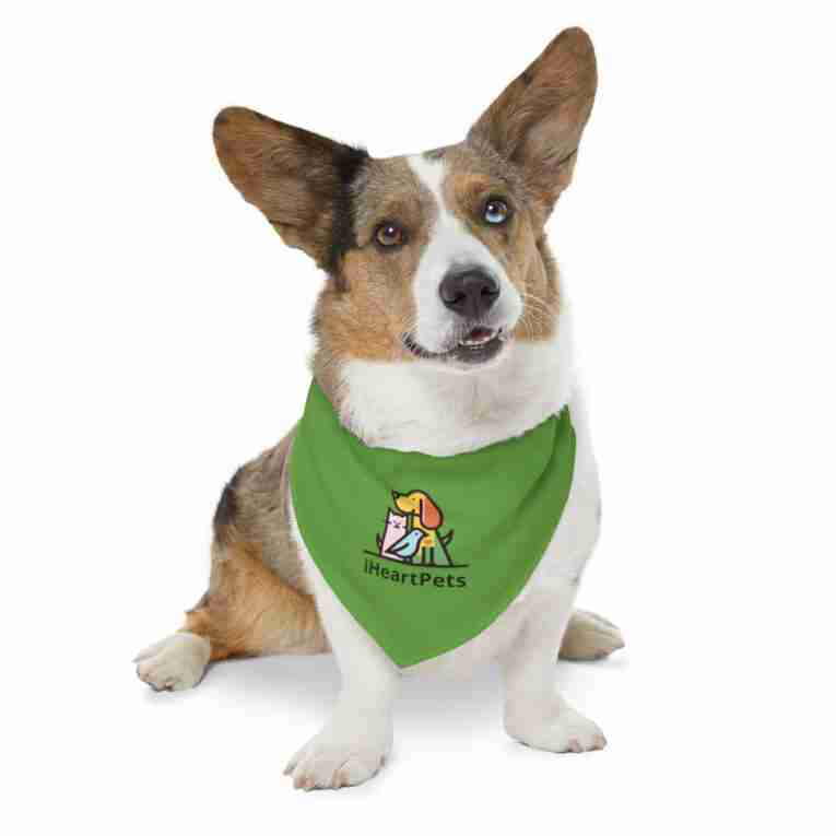 iHeartPets - Pet Bandana Collar - Image 10