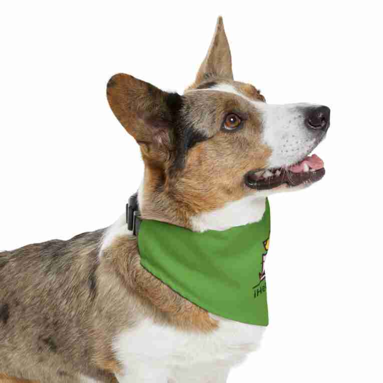 iHeartPets - Pet Bandana Collar - Image 11