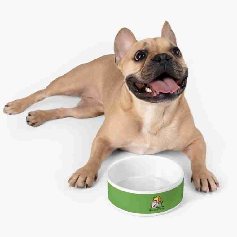 iHeartPets - Pet Bowl - Image 6