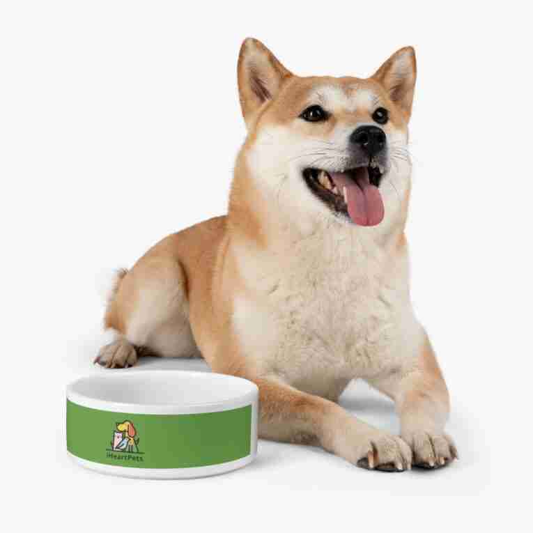 iHeartPets - Pet Bowl - Image 7